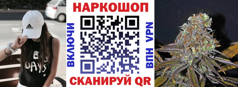 Купить наркотики цена Новая Ладога Конопля  Альфа ПВП  ГАШ  КОКАИН 