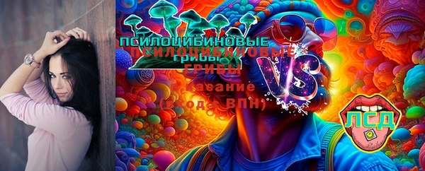 шишки Алексин