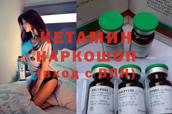 шишки Алексин